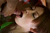Nozomi Uehara2|#205