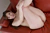 MOMOE 2|#101