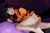 CHIKAKO 3|#79