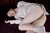 AYANE 6|#18