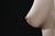 OTOKA|#115