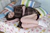 SUZUNE|#19