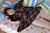 SUZUNE|#28