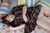 SUZUNE|#34