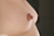 AYAMI|#89