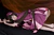KOUMI|#161