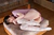 HIMARI 2|#113