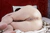 MINAE|#106