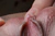 HIDEMI|#148