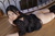 RUNA Shimada 2|#67