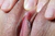 MISAE|#155