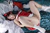 HOTARU 2|#81