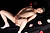 WAKANA|#136