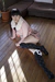 RANKA|#66