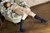 CHIGUSA|#171