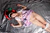 NULL Vol.1 Naoko Houjyo|#44