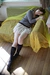 NICHIKA|#26