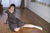 KAZUE 3|#20