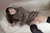 KIYOE|#80