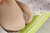 SAAYA|#45