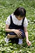 NORI|#9