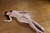 MIO Okawa 2|#51