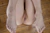 MIZUHO|#117