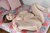 NATSUNO|#127