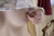 MONAMI|#92